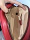 Gucci MARMONT BELT BAG RED**
