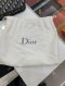 Dior OBLIQUE DIORQUAKE CLUTCH 2019