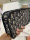 Dior OBLIQUE DIORQUAKE CLUTCH 2019