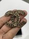 Chanel CC BROOCH PEARLS 2019
