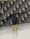 Dior SADDLE POUCH WITH CHAIN 2023