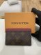 Louis Vuitton CARD HOLDER MONOGRAM 2022