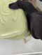 Chanel VANITY GREEN GHW (K87A11A7) **