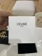 Celine HAIR CLIP GOLD 2023