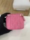 Chanel VANITY MINI PINK LAMB GHW HOLO29