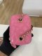Chanel VANITY MINI PINK LAMB GHW HOLO29