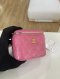 Chanel VANITY MINI PINK LAMB GHW HOLO29