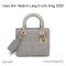 Dior LADY SIZE.MEDIUM GREY 2020