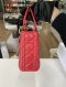 Dior LADY SIZE.SMALL RED 2018