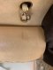 Chanel CLSSIC 10" CV GHW HOLO27913878