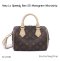 Louis Vuitton SPEEDY BAN 20 MONOGRAM