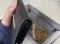 Balenciaga SHORT WALLET WITH CHAIN