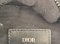 Dior NANO D-TOUCH POUCH BAG