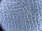 Hermes LONG WALLET STAMP D