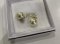 Dior TRIBALES EARRINGS