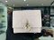 Dior WALLET PINK 2026