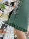 Goyard SAIGON MINI BAG SOPLE GREEN 2022
