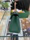 Goyard SAIGON MINI BAG SOPLE GREEN 2022
