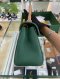 Goyard SAIGON MINI BAG SOPLE GREEN 2022
