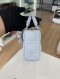 Dior LADY D-JOY MINI ICE BLUE LAMB 2026