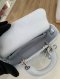 Dior LADY D-JOY MINI ICE BLUE LAMB 2026