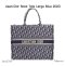 Dior BOOK TOTE BLUE 2020