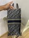 Dior BOOK TOTE BLUE 2020