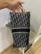Dior BOOK TOTE BLUE 2020