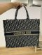 Dior BOOK TOTE BLUE 2020
