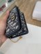 Dior 30 MONTAIGNE POUCH 2021