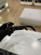Dior LADY SUNGLASSES BLACK