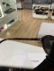Celine SUNGLASSE HAVANA