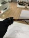Celine SUNGLASSE HAVANA