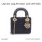 Dior MINI LADY BLACK LAMB GHW2025