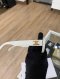 Celine SUNGLASSES WHITE