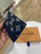 Louis Vuitton CARD HOLDER NEVY MICROCHIP