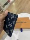 Louis Vuitton CARD HOLDER NEVY MICROCHIP