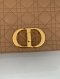 Dior CARO BAG MEDIUM COGNEC 2021