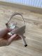 Jimmy Choo LOW HEELS NUDE SIZE 36
