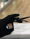 Gentle Monster SUNGLASSES BLACK