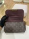 Louis Vuitton FAVORITE MONOGRAM 2013