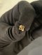 Louis Vuitton FLORAGRAM EARRING GOLD 2026