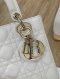 Dior LADY SMALL WHITE GHW 2022