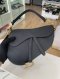 Dior SADDLE 2020