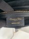 Dior SADDLE 2020