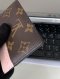Louis Vuitton CARD HOLDER MONOGRAM MICROCHIP