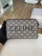 Celine MEDIUM MESSENGER BAG**