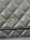 CHANEL WOC SUEDE BLACK CAVIAR SHW HOLO17834748