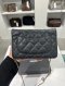 CHANEL WOC SUEDE BLACK CAVIAR SHW HOLO17834748