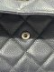 CHANEL WOC SUEDE BLACK CAVIAR SHW HOLO17834748